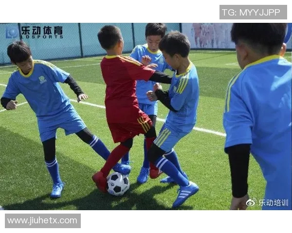 体育培训中潜藏的安全隐患及其对青少年健康成长的影响分析